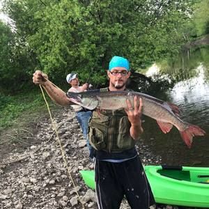 Meet your Posher, Patrick